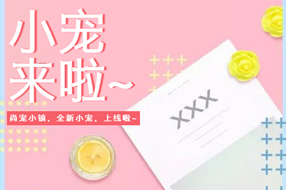 尚寵小鎮(zhèn) | 荷蘭豬豬、土撥鼠、柯?tīng)桒喩暇€啦！做你貼心小寶貝~