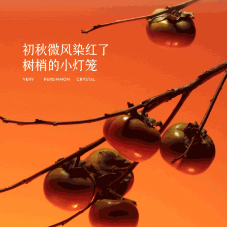 喜茶、茉莉奶白、COCO...5折起