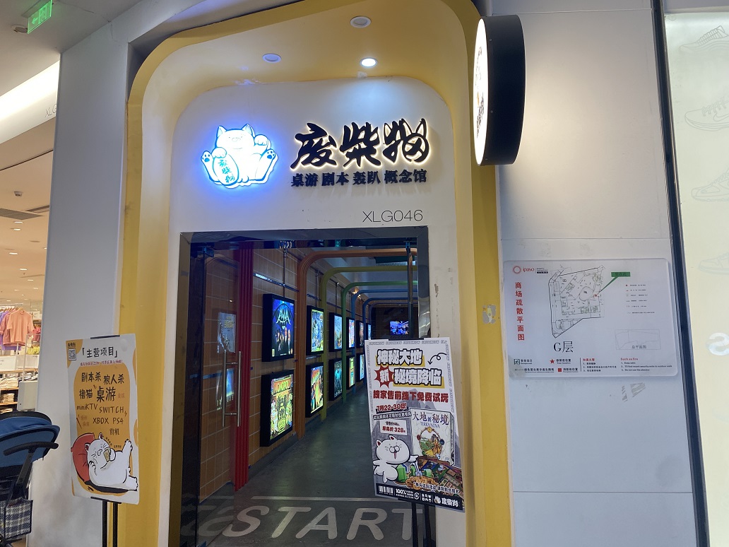廢柴貓